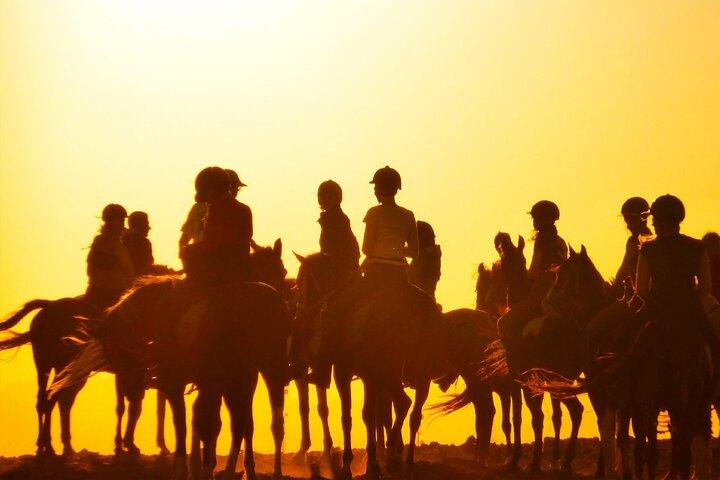 Hurghada: paseo a caballo por el mar y el desierto, observación de estrellas, cena, espectáculo