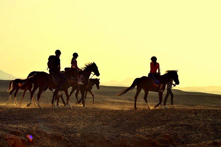 Hurghada: paseo a caballo por el mar y el desierto, observación de estrellas, cena, espectáculo