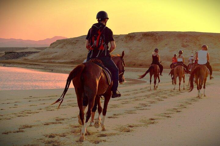 Hurghada: paseo a caballo por el mar y el desierto, observación de estrellas, cena, espectáculo