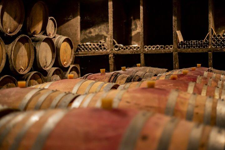 Heldags privat vintur i Côte de Nuits