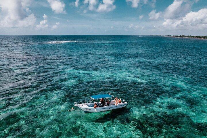 Costa Maya Natural Reef Snorkeling Tour