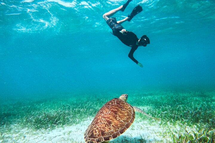 Costa Maya Natural Reef Snorkeling Tour