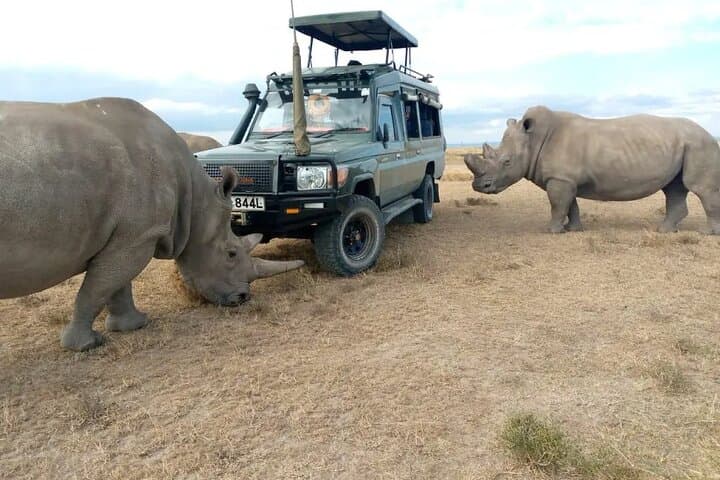 5 Days Maasai Mara and Ol Pejeta Conservancy Safari Tour