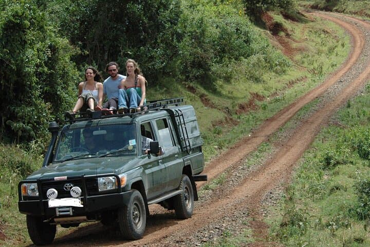 Aberdares National Park Luxury Lodge Safari 2 Days 1 Night Tour