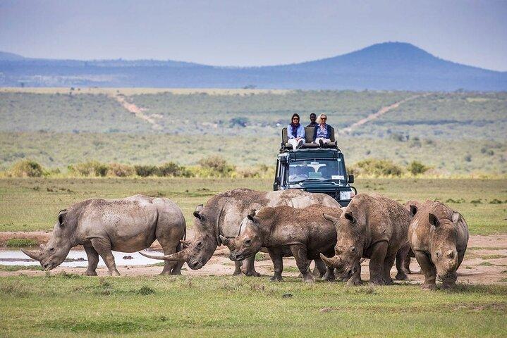 オル・ペジェタ保護区サイとチンパンジー保護区への日帰り旅行