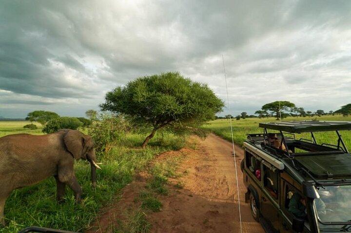 11 Days Kenya and Tanzania with Serengeti Safari Journey