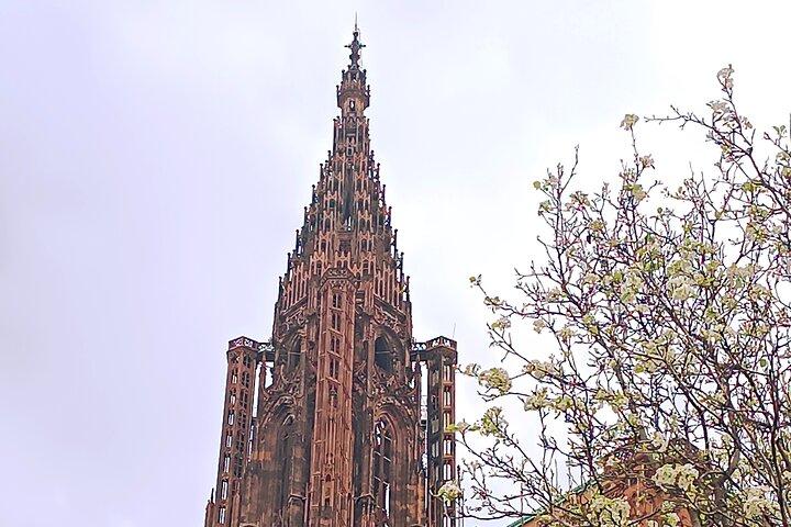Visite guidate alla Cattedrale di Strasburgo