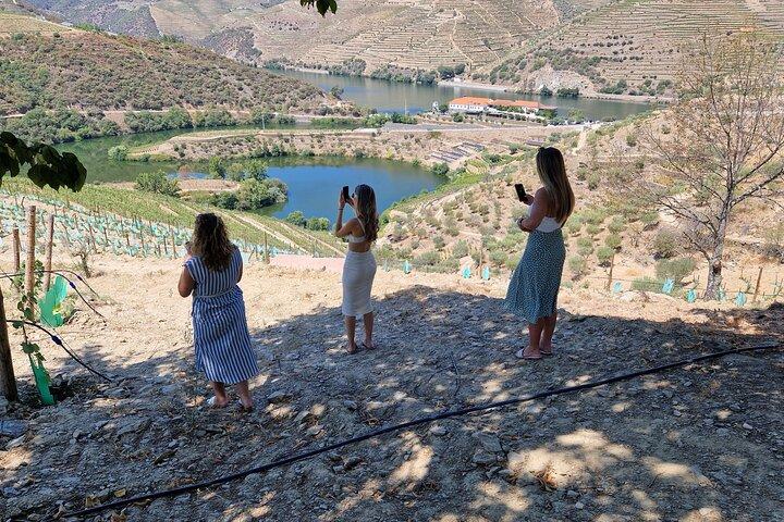 Douro Valley Tour with Train and Vinho Verde
