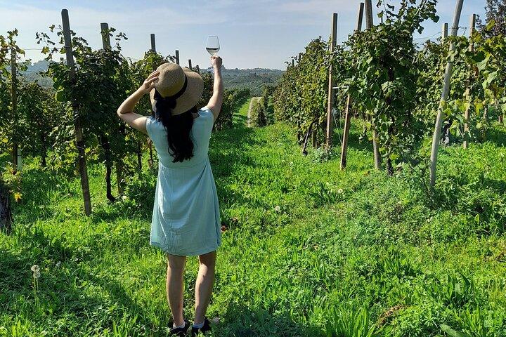Excursão Privada Prosecco Road All Inclusive de Veneza
