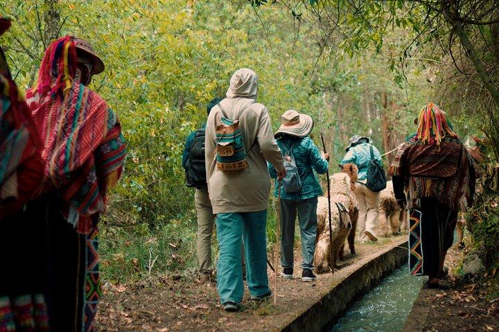 Alpaca Walk & Natural Dye Tour: En mindeværdig heldagsoplevelse