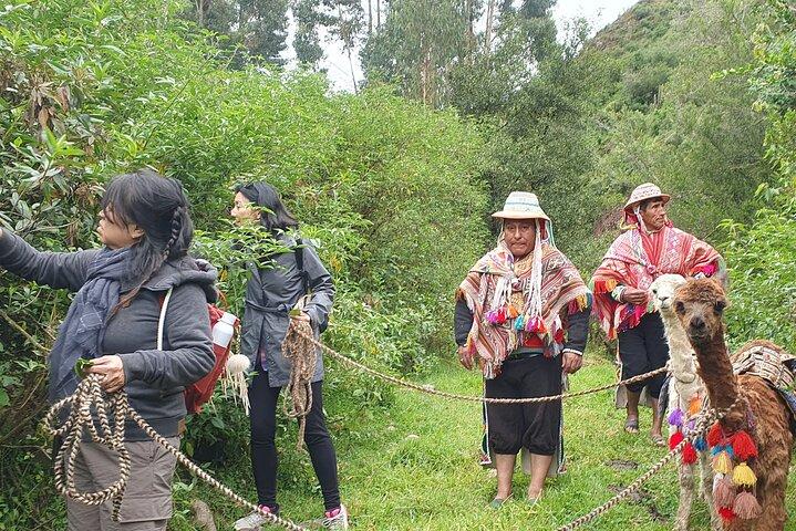 Alpaca Walk & Natural Dye Tour: En mindeværdig heldagsoplevelse