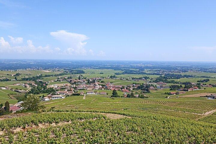 Visite guidée Journée Beaujolais - Visites caves et dégustations