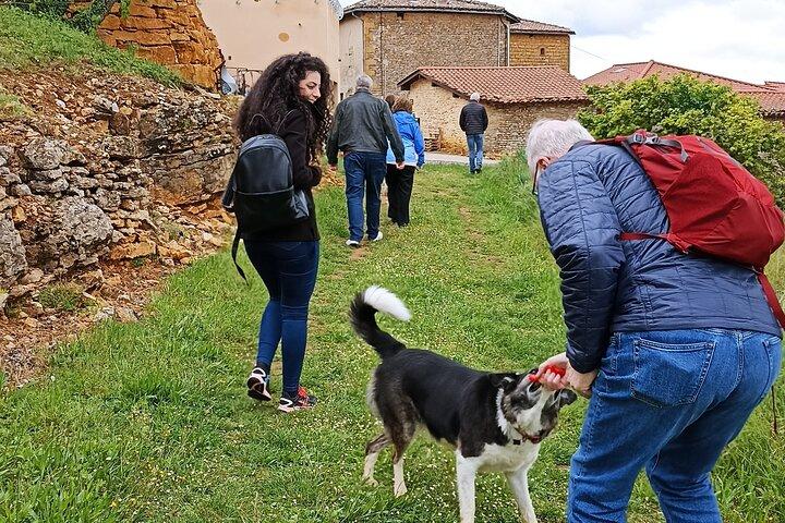 Visite guidée Journée Beaujolais - Visites caves et dégustations
