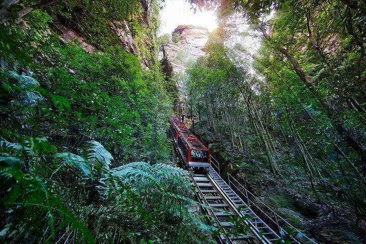 ブルーマウンテンズ・オールインクルーシブツアー(シーニックワールド&ランチ付き)