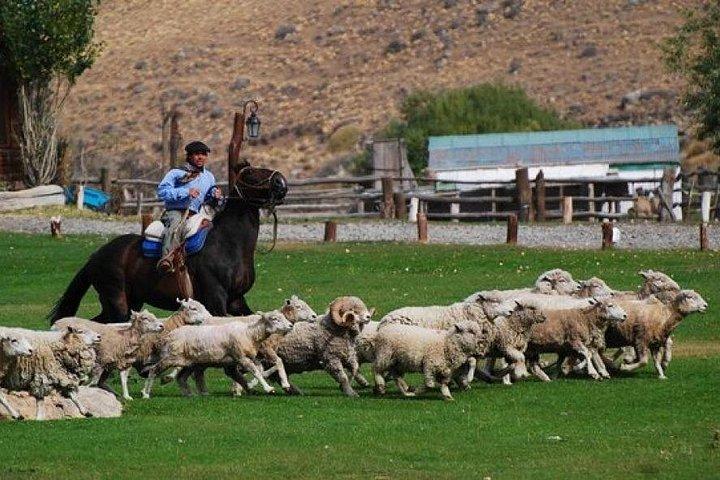 エスタンシア25デマヨ体験（ディナーと乗馬付き）