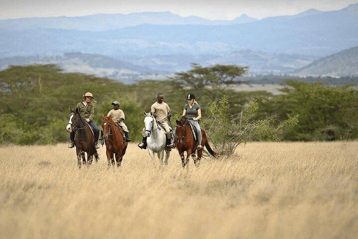 4 Dias Amboseli Taita Hills Salt Lick e Tsavo East Safari