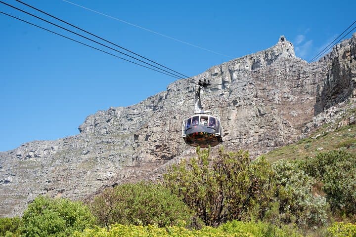 Private Tour: Table Mountain Boulder's Beach Penguin Cape Point