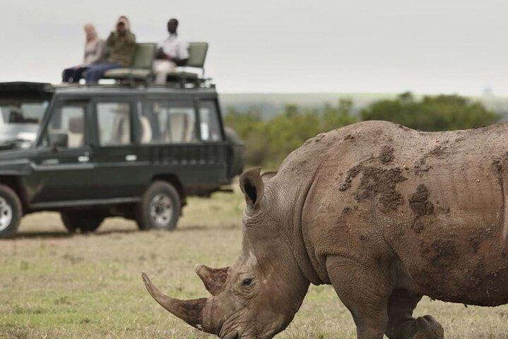 4 dias de safári na Reserva Nacional Ol Pejeta e Samburu em jipe 4x4