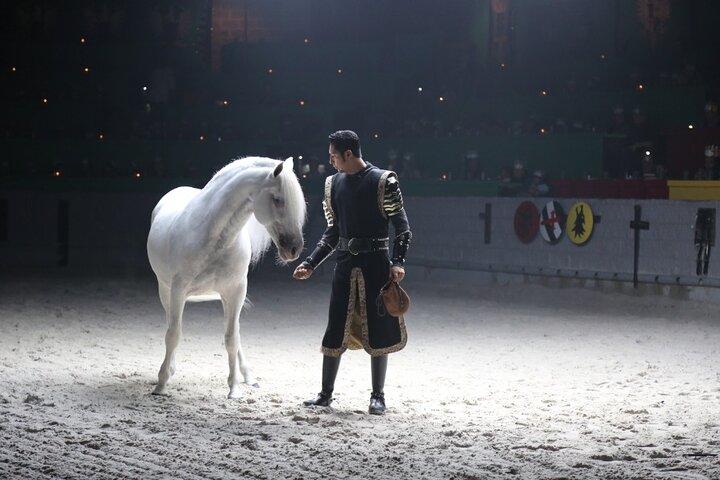 Jantar Show Medieval Times em Orlando