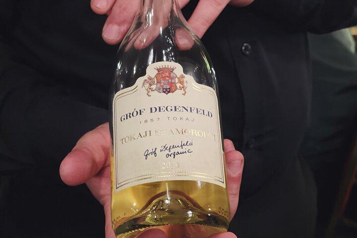 Cruzeiro com degustação de vinhos e comidas no Danúbio