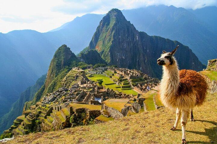 Guidad Machu Picchu heldagstur