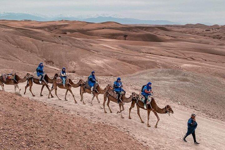 Magical Agafay Sunset Dinner Camel Ride