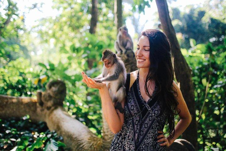 Bali: Ubud (Temple, Spring, Rice Terraces, & Waterfall)