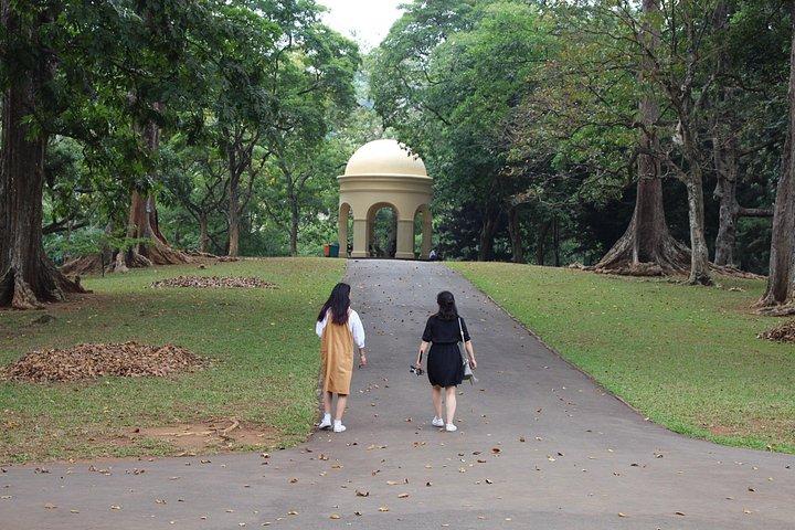 キャンディの文化ツアー