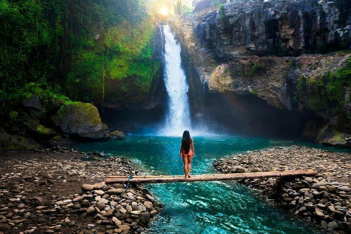 Bali: Ubud (Temple, Spring, Rice Terraces, & Waterfall)