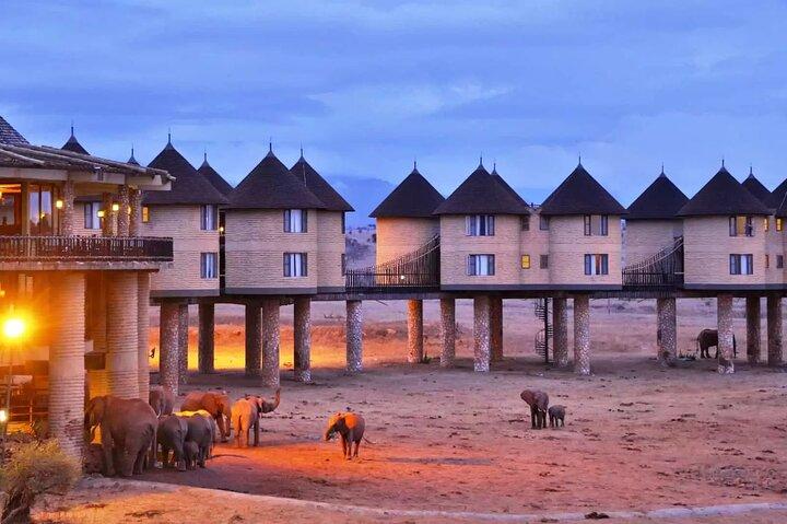 Safari de luxe de 3 jours à Saltlick et Tsavo West depuis Nairobi