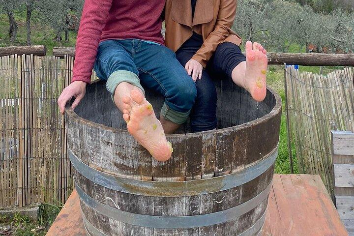 Experiencia de pisado de uvas y cata de vinos.