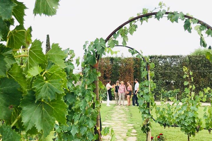Toscane: Chianti semi-privé wijnproeverij en diner in de wijngaard
