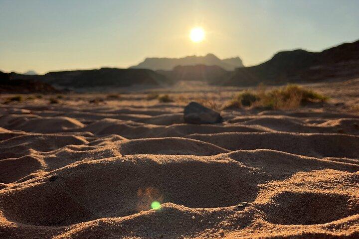 Sinai Valleys endagsvandretur med guide