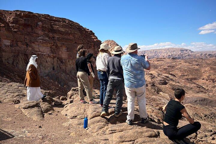 Sinai Valleys endagsvandretur med guide