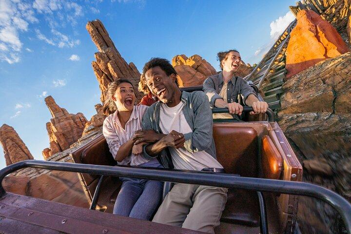 ディズニーランド®・パリ・パークス入場券