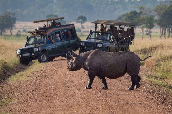 4x4 ランドクルーザーで行く 3 日間のオル ペジェタ保護区豪華サファリ