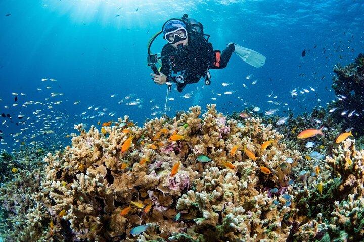 3 inmersiones divertidas en las islas Phi Phi para buceadores certificados