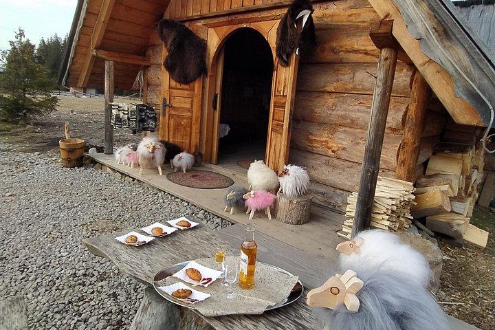 クラクフのザコパネと温浴少人数グループ
