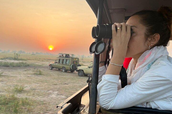 9 jours Big 5 Budget Safari Shoebill & Gorilla Trekking