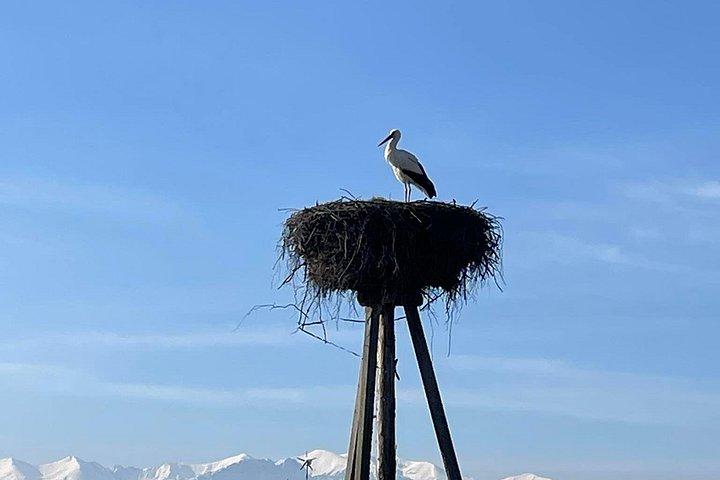 クラクフのザコパネと温浴少人数グループ
