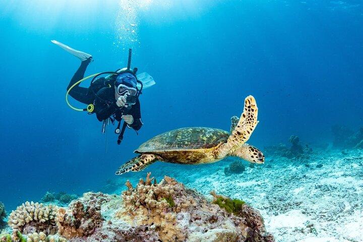 3 inmersiones divertidas en las islas Phi Phi para buceadores certificados