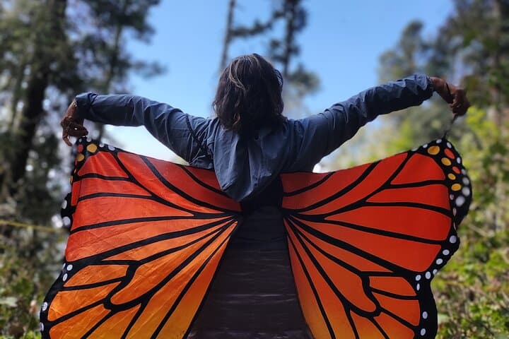 Monarch Butterfly Tour Mexico: Sierra Chuincua and Magic Town