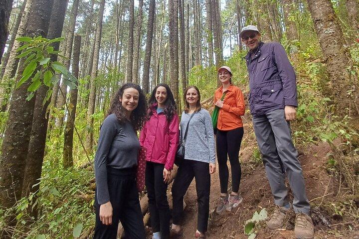 Monark sommerfuglereservat: Piedra Herrada Magical Valle de Bravo