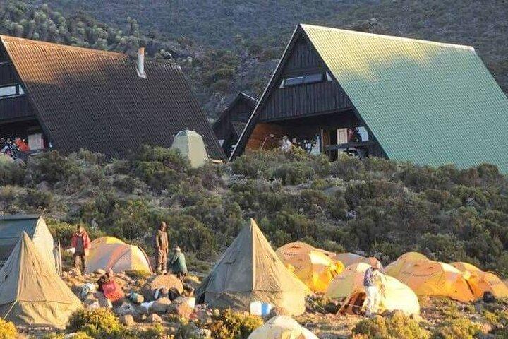Kilimanjaro Day Hike Marangu Route