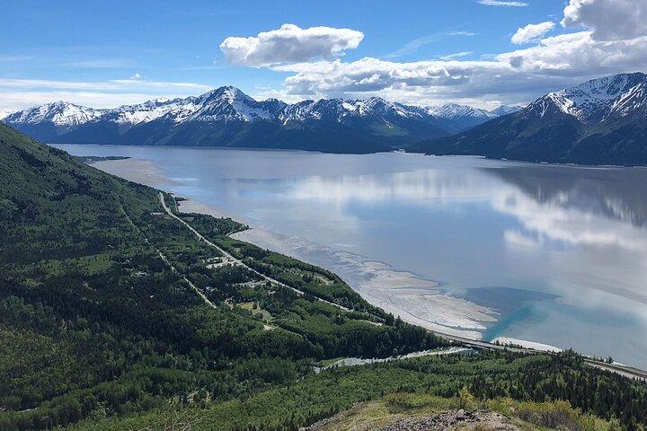 Visite privée de Turnagain Arm et Portage Valley