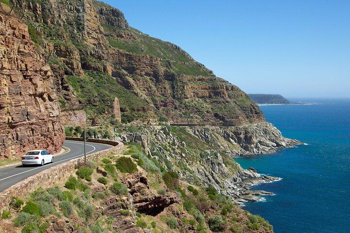 Visite privée d'une journée complète dans la péninsule du Cap