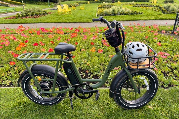 Visite du Golden Gate Bridge de San Francisco et du Presidio E-Bike — Max 9