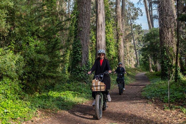 San Francisco Golden Gate Bridge & Presidio E-Bike Tour — Max 9