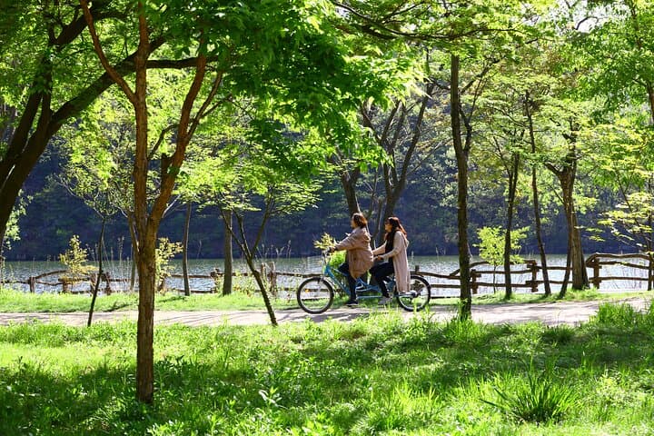 Full Day Private Tour Nami Island, Garden & Petite France