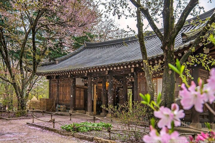 Full Day Private Tour Nami Island, Garden & Petite France